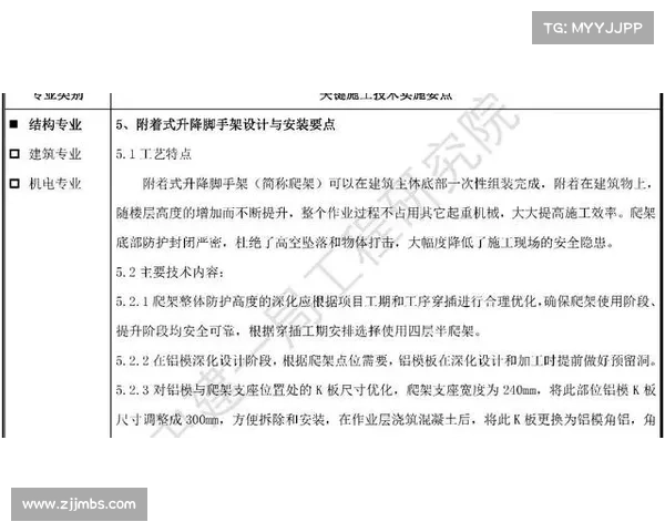 精练石中盐提取技术的应用与优化实践指南 精练石中盐提取技术的应用与优化实践指南