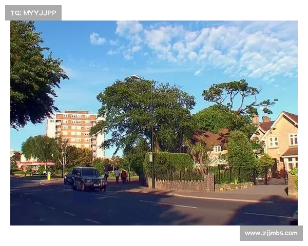 如何顺利加入伯恩茅斯足球俱乐部并迅速适应新环境的实用指南